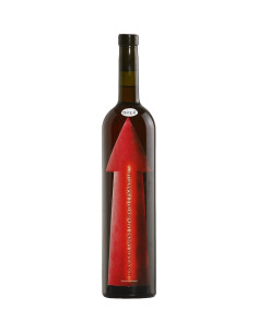 Giotto Bini - Rosso Fanino Serragghia - 2022 - 75 cl