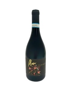 Liboria of God - Placeo Pinot Nero - 2020 - 75 cl